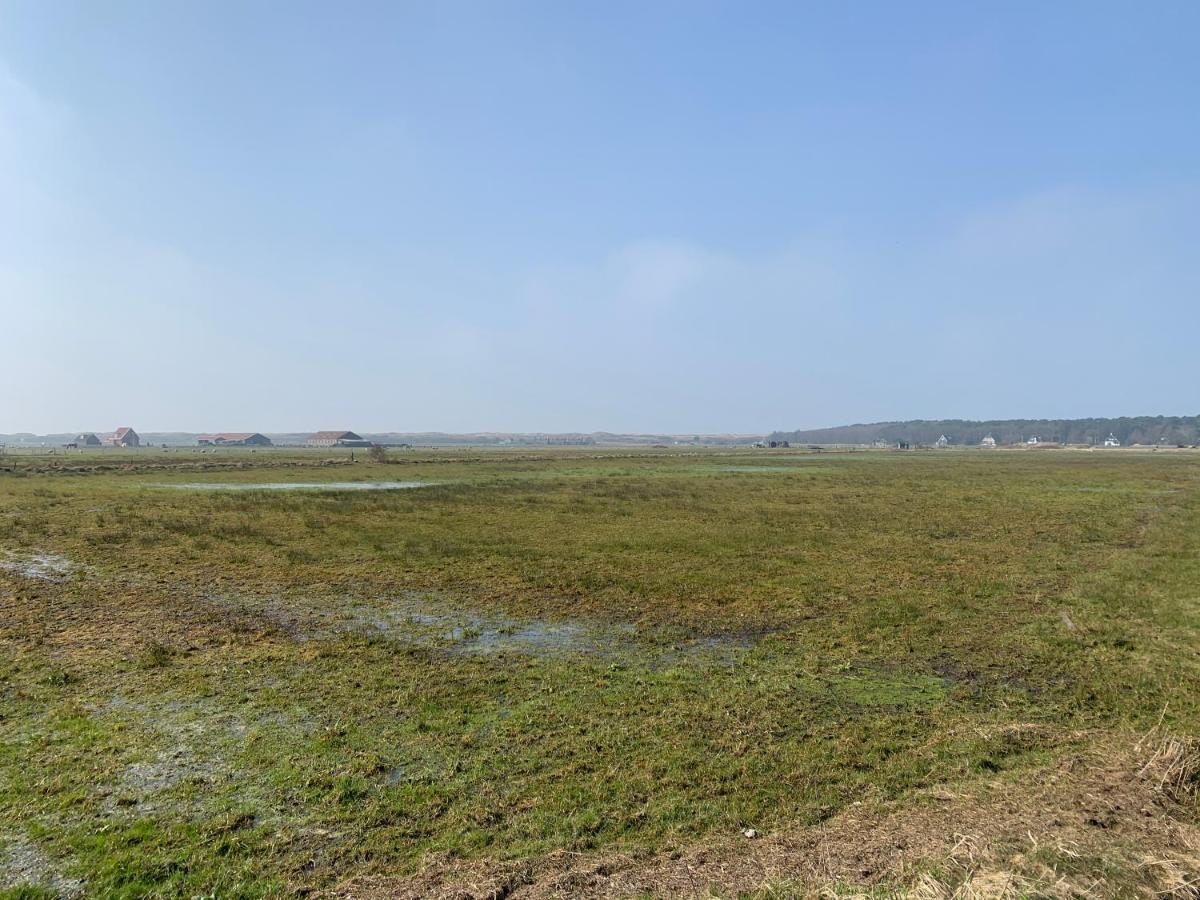 Onder De Pannen * Hollum (Ameland)